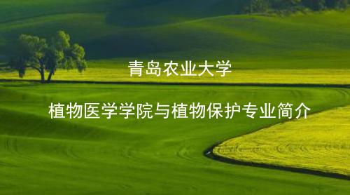 太阳集团tyc86植物保护专业介绍